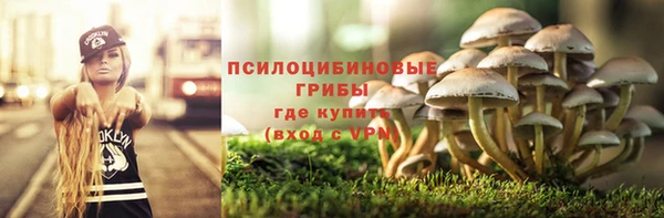 прущая мука Володарск